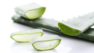 hojas de aloe vera