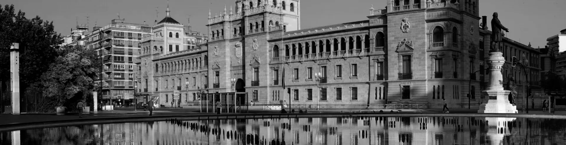 Depilación láser Valladolid